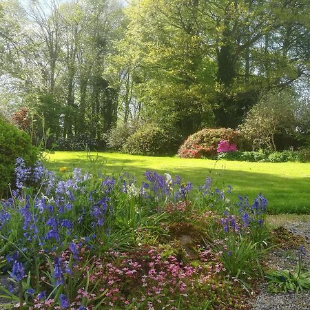 Villa Carncairn Broughshane Zimmer foto