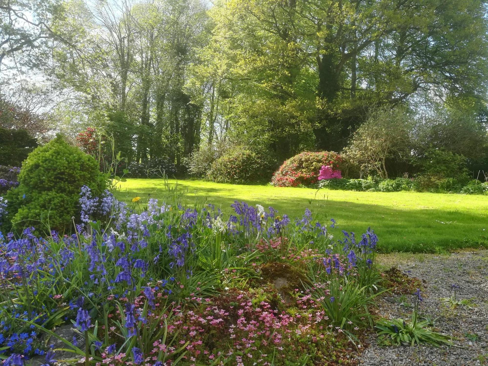 Villa Carncairn Broughshane Zimmer foto